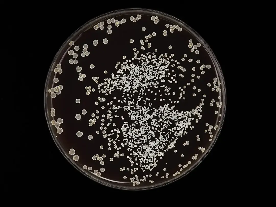 Bacteria Found to Neutralize Uranium in Mine Water