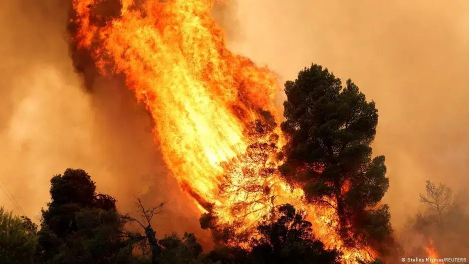 Europe Faces Growing Threat from Extreme Wildfires: Solutions Needed