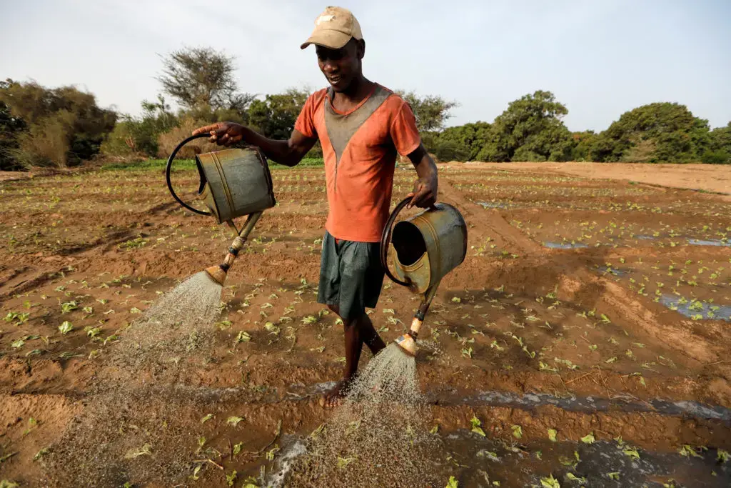Farmers Explore Fertilizer Alternatives Amid Rising Prices from Iran Conflict