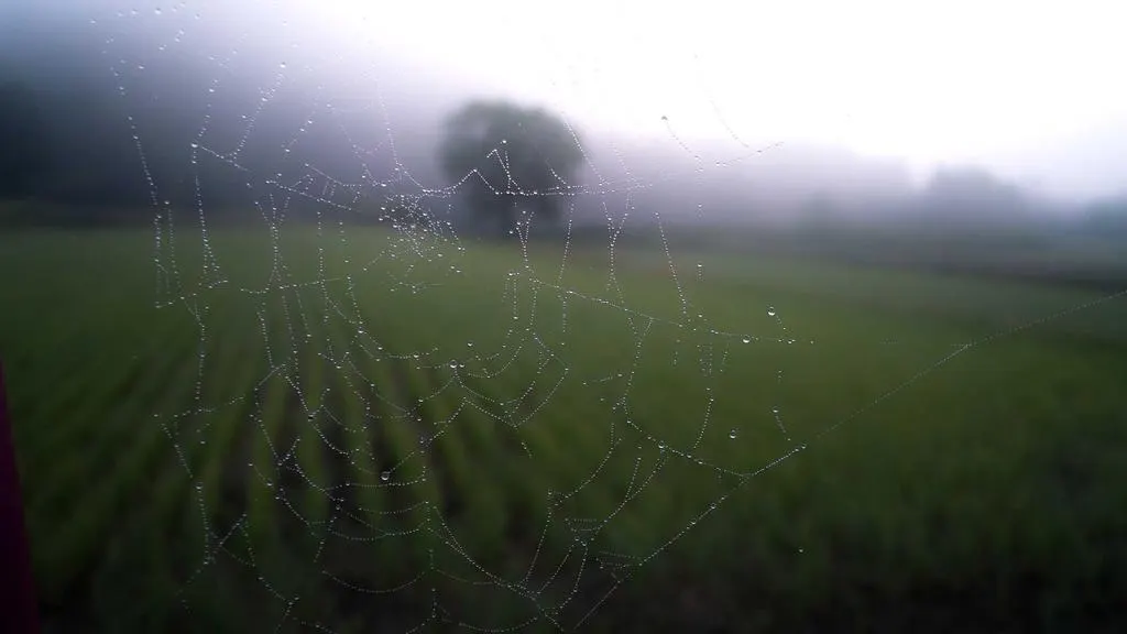 Fumes and Mirrors": Hope Turns to Fear in Scottish Village Chosen for AI Data Centre