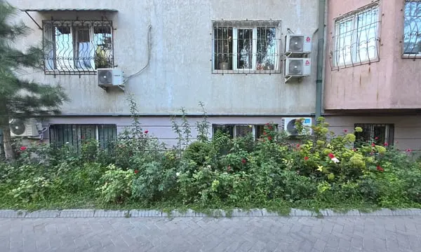 Central Asian Gardeners Lead Climate Adaptation Efforts
