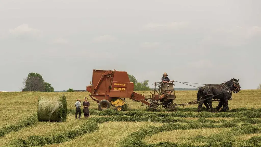 France Unveils One Billion Euro Aid Package for Climate-Hit Farmers