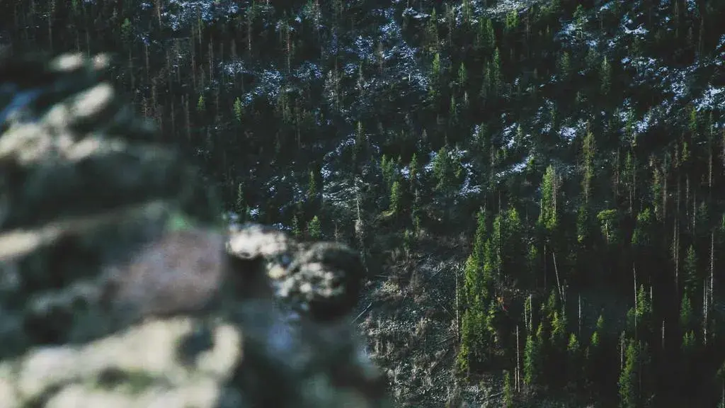 Houthis Move to Seize Yemen Highlands as Trump Weighs Options on Iran