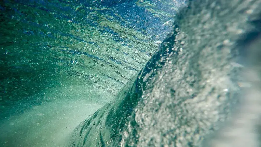 Jamaica welcomes King’s move on slavery reparations petition