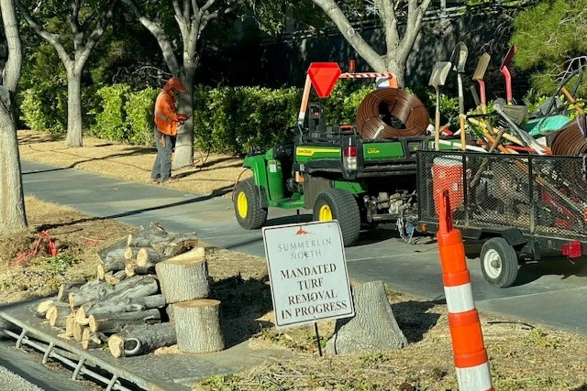Las Vegas Turns to Artificial Turf in Parks Amid Water Crisis