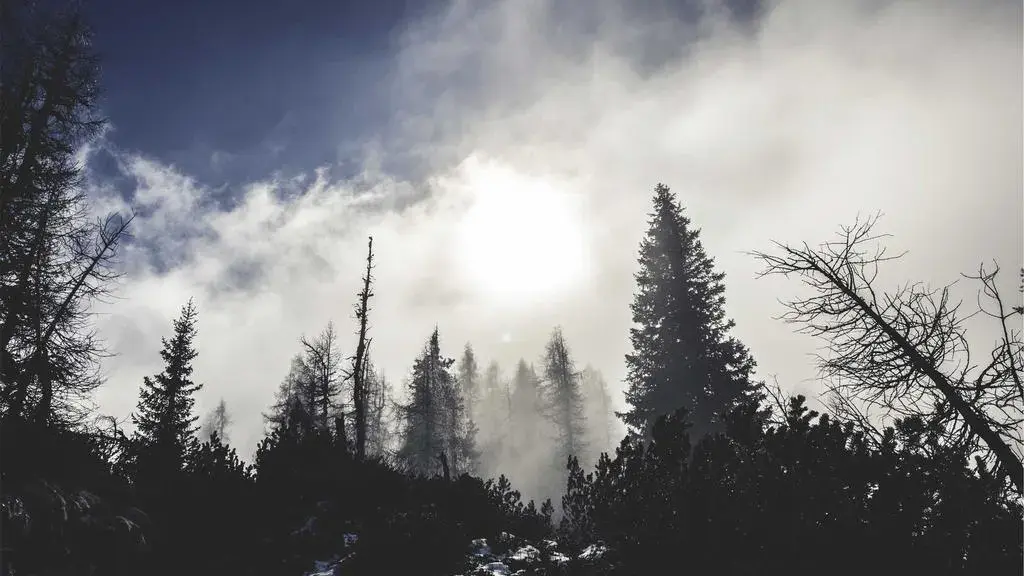 Montana Smokejumper Sam Forstag Runs for Congress Citing Lost Empathy