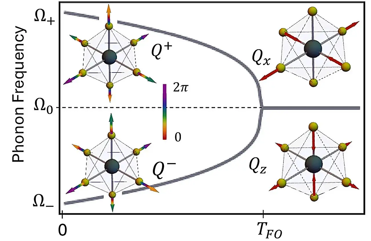 Physicists Discover Rare Octupolar Magnetism State