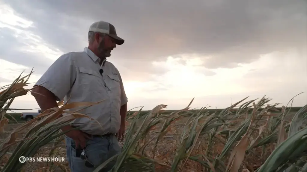 The Growing Struggle for Survival Among American Family Farms