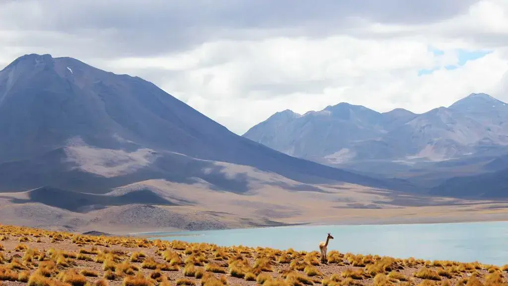 The incoming ‘super’ El Niño will create chaos around the world – and we are far from ready for it
