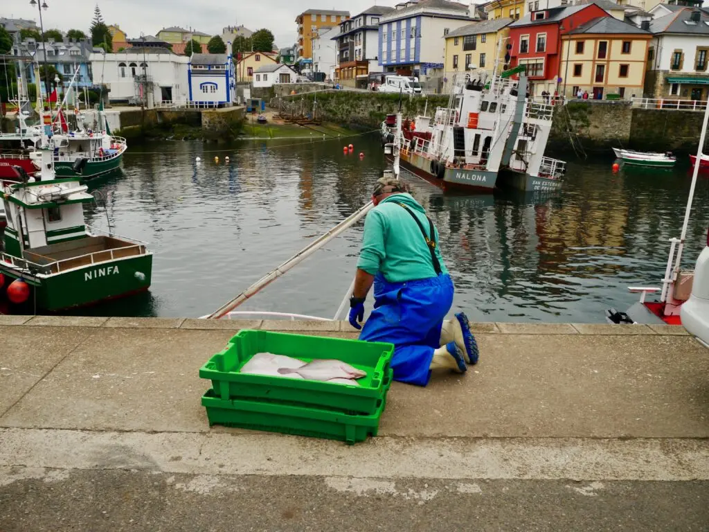 Why the EU Must Hold Firm on Common Fisheries Policy