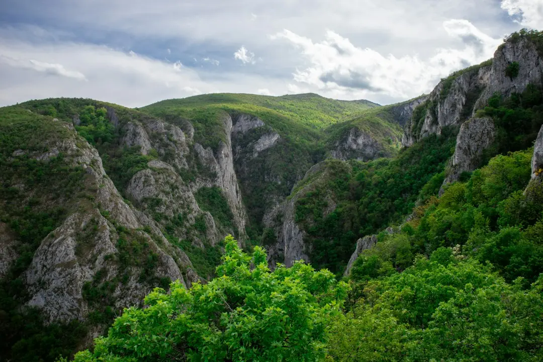 A Turning Point for Democracy in Serbia