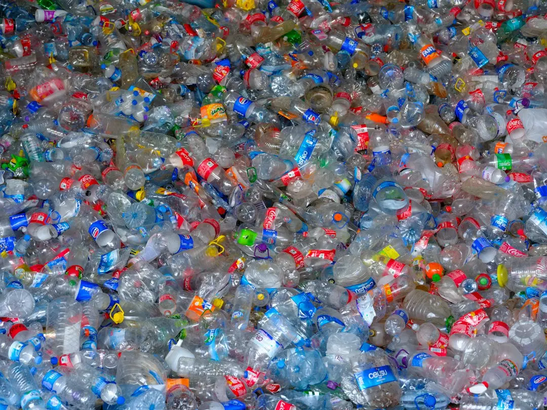 Plastic Chemical Linked to Human Ovarian Damage, New Research Shows