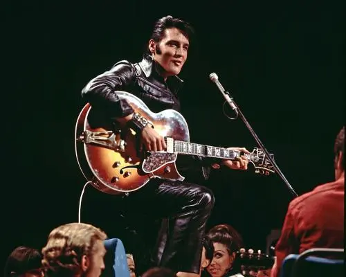 Elvis Presley’s estate sues Anthropic over AI training data