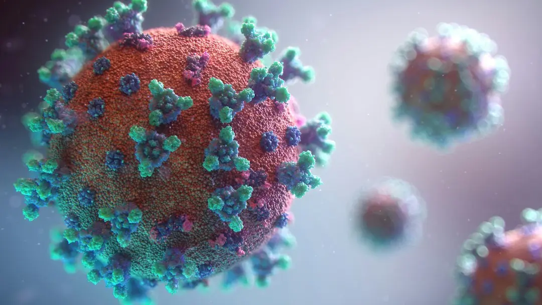 France Detects First Human Shamonda Virus Case in Lyon