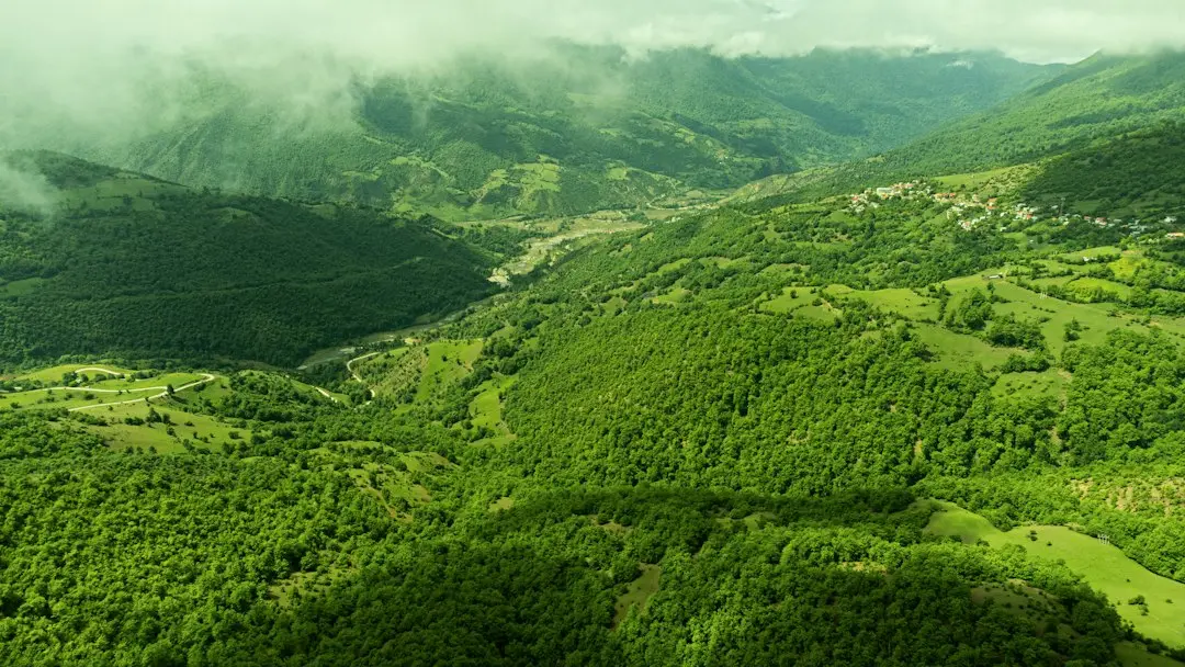 Green Space Losses Could Shape The Holborn And St Pancras Election