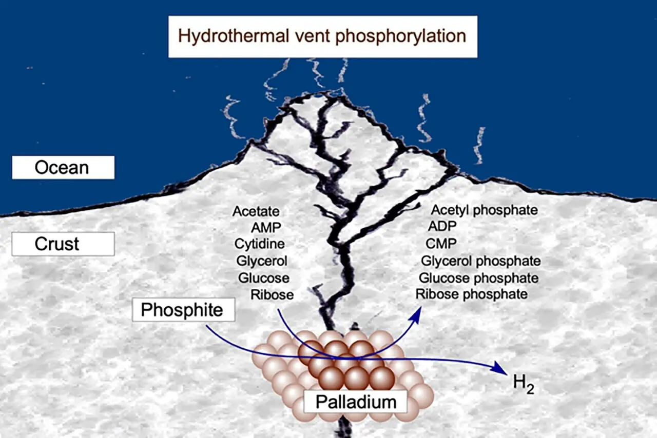 Hydrothermal Vents May Have Provided the First Energy Source for Life