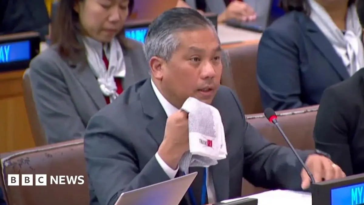 Myanmar UN envoy breaks down pleading for global action