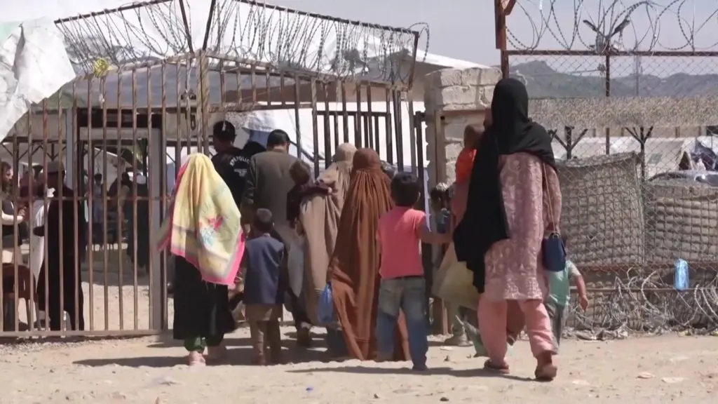 The Growing Crisis of Forced Returns for Afghan Refugees