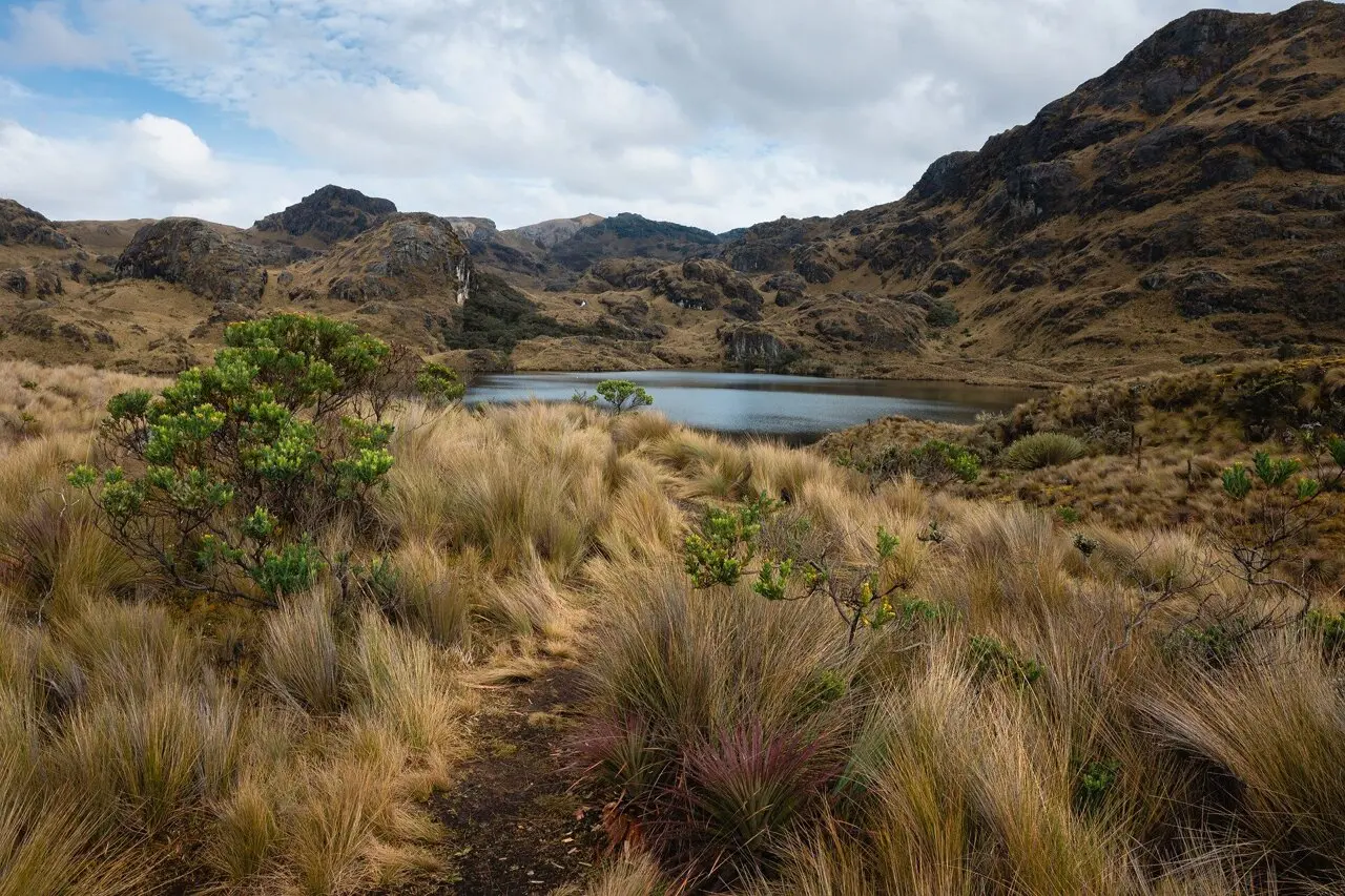 Why Some Indigenous Communities in Ecuador Do Not Resist Oil Extraction on Their Lands